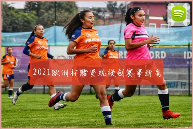 2021欧洲杯赌资规模创赛事新高