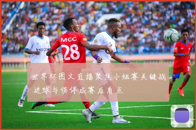 世界杯图文直播聚焦小组赛关键战 进球与伤停成赛后看点