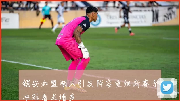 锡安加盟湖人引发阵容重组新赛季冲冠看点增多