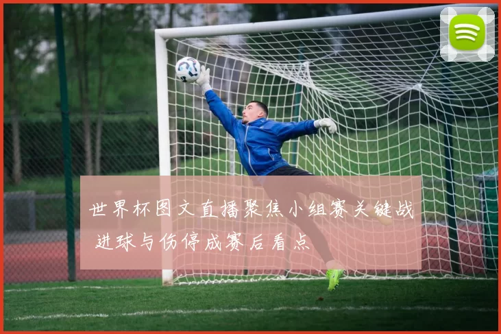 世界杯图文直播聚焦小组赛关键战 进球与伤停成赛后看点