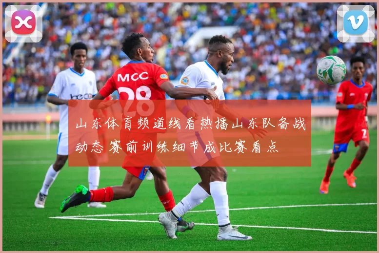 山东体育频道线看热播山东队备战动态 赛前训练细节成比赛看点