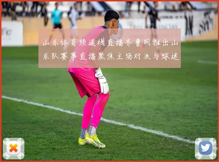 山东体育频道线直播齐鲁网推出山东队赛事直播聚焦主场对决与球迷观赛热度