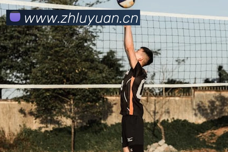 App Interface Preview